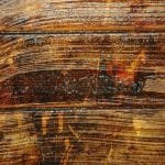 Aquanett_chalet_action