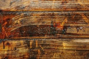 Aquanett_chalet_action