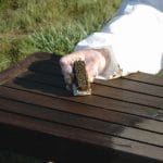 Aquanett_table_brosse