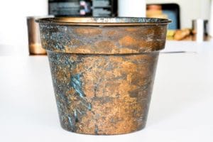 Natural_Varnish_protection_©Adfields